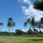 hilo_bigisland