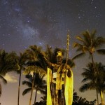 kamehameha_bigisland