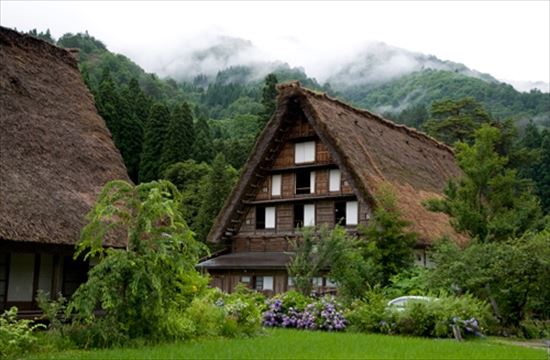 Shirakawago tour