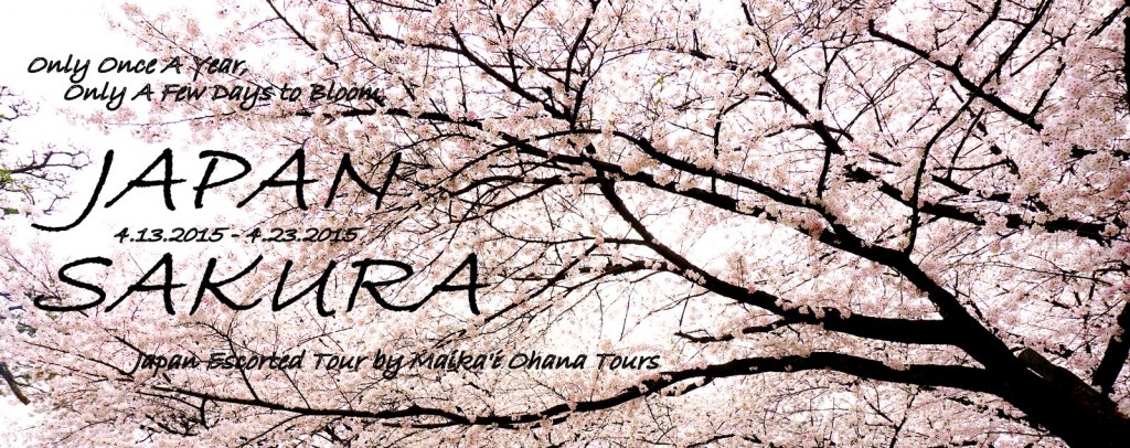 Spring 2015 - Japan Escorted Tour "SAKURA"