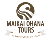Japan Escorted Tours from Hawaii by Maikai Ohana Tours (Hilo, Hawaii)