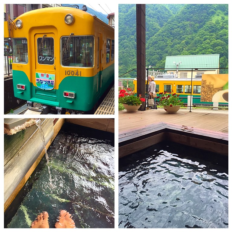 Today we will go see the beautiful Fall leaves in Kurobe Gorge by riding cute train. Must try some foot bath on the way