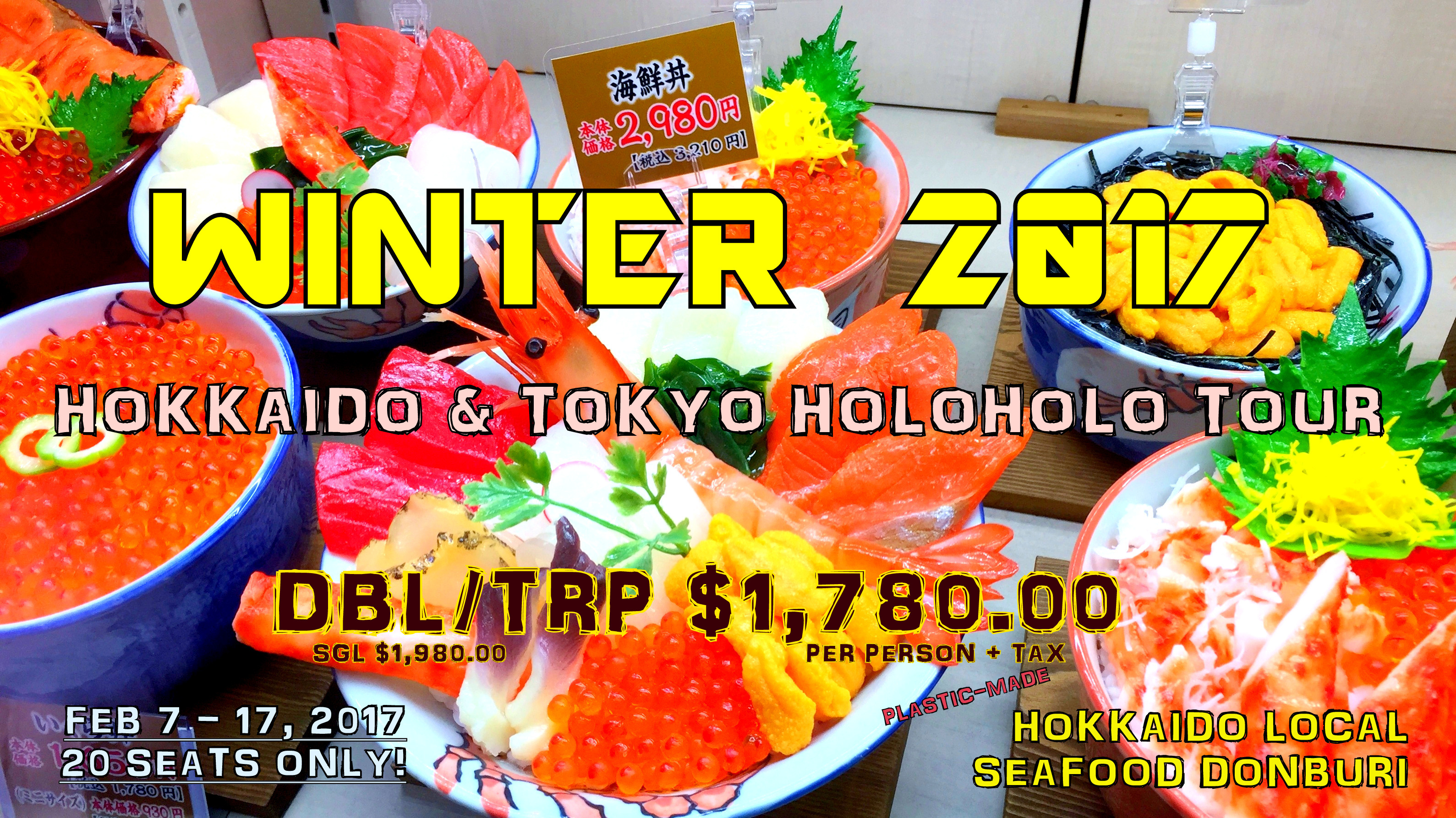 Winter 2017 - Sapporo Snow Festival & Asahikawa Winter Festival in Hokkaido & Tokyo Holoholo!!